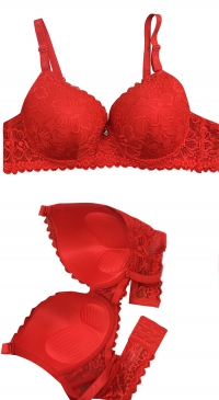 Soutien gorge rembourré rouge bonnet D