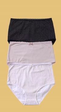 Culotte coton grande taille