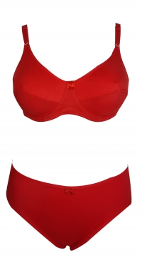 Soutien-gorge bonnet D + culotte