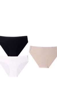 Culotte microfibre sans couture