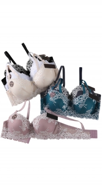 Soutien-gorge bonnet D broderie sur dentelle