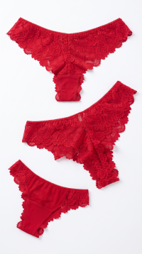 Culottes brésiliennes en dentelle florale – Assortiment S-M-L-XL
