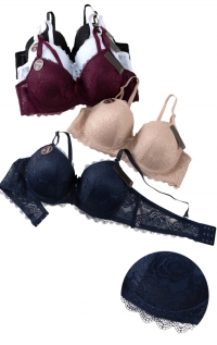 Soutien-gorge dentelle bonnet D coloris automne-hiver