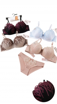 Soutien-gorge dentelle et broderies bonnet D et culottes assorties
